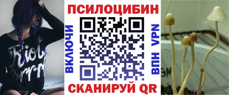 Псилоцибиновые грибы Cubensis  магазин  наркотиков  Вуктыл 